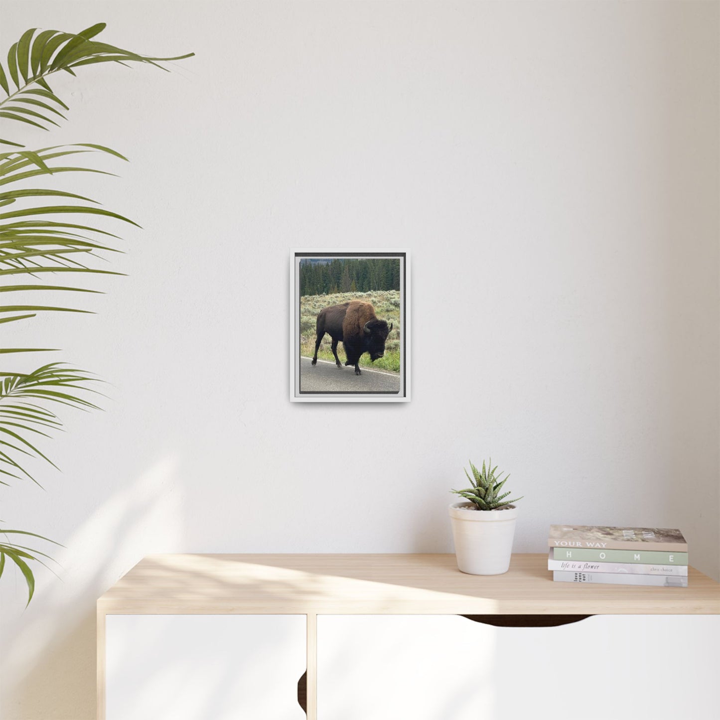 Bison Photo Matte Canvas Framed | Wildlife Wall Art