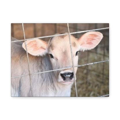 Calf Portrait Canvas | Matte Stretched Wall Art