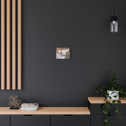 Calf Portrait Canvas | Matte Stretched Wall Art