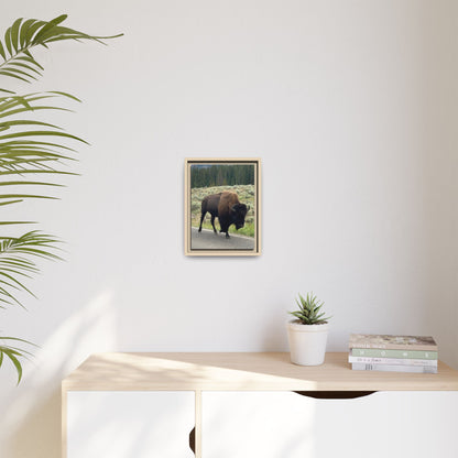Bison Photo Matte Canvas Framed | Wildlife Wall Art