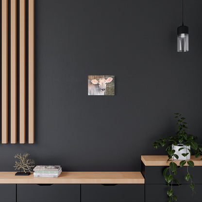 Calf Portrait Canvas | Matte Stretched Wall Art