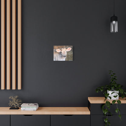 Calf Portrait Canvas | Matte Stretched Wall Art