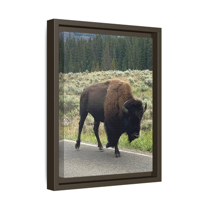 Bison Photo Matte Canvas Framed | Wildlife Wall Art