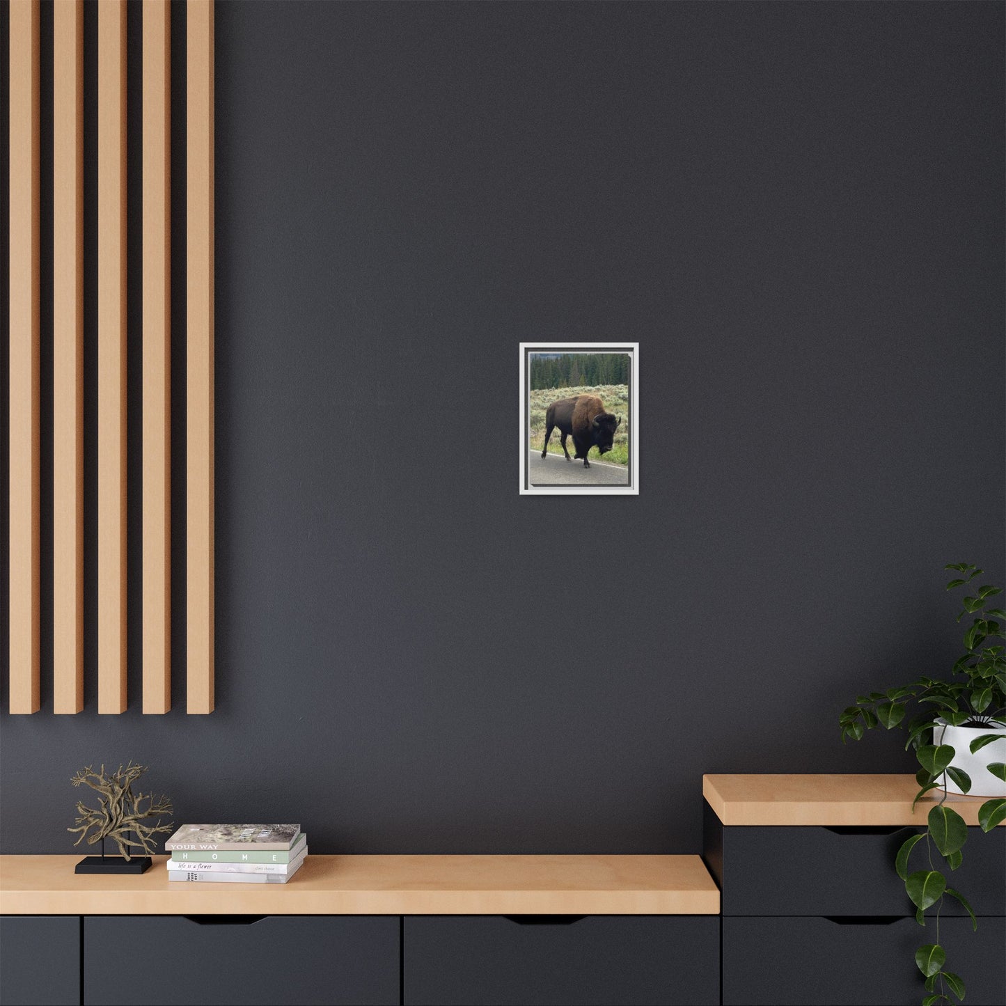 Bison Photo Matte Canvas Framed | Wildlife Wall Art