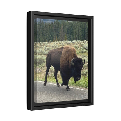Bison Photo Matte Canvas Framed | Wildlife Wall Art
